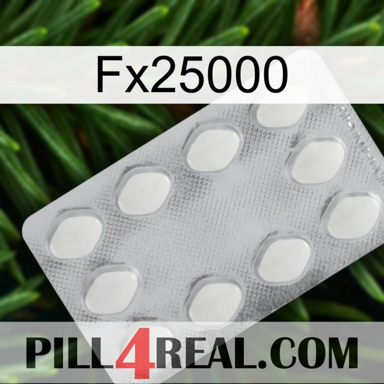 Fx25000 16